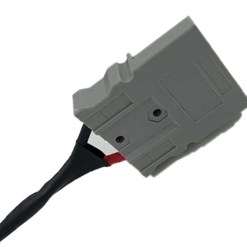 Forklift LITHIUM Battery Charger with plug